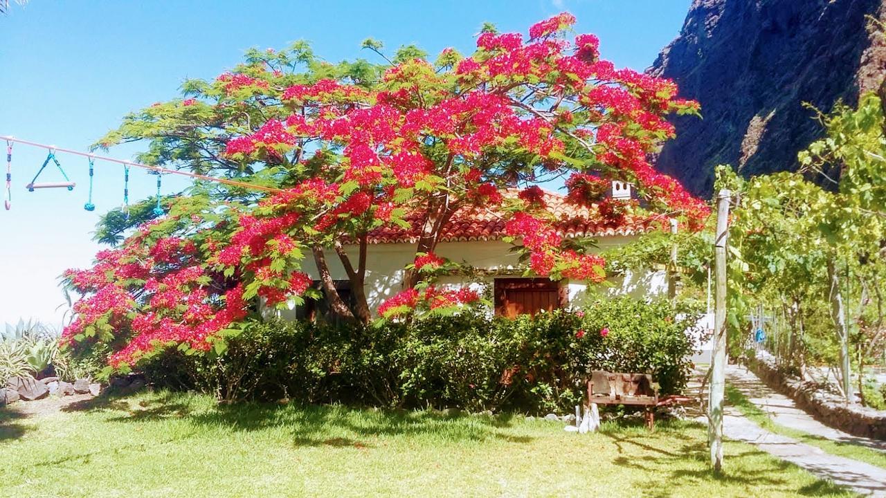 リベイラ・ブラーヴァ Faja Dos Padresヴィラ エクステリア 写真